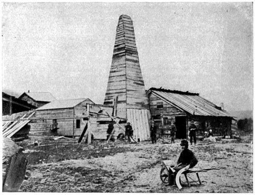 Overdose Victims Stack Up Like Cordwood While Jack Reed Defends Cocaine Runners