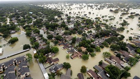 A Slice of Pizza in Hurricane Harvey Led to a National Police Legacy